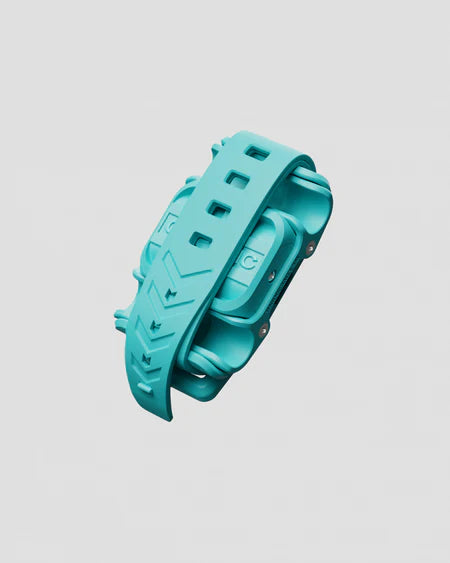 CLIPSTIC - The Ultimate Skistrap